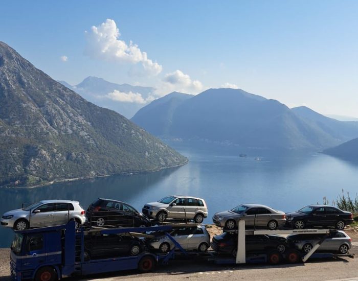 WhatsApp Image 2026-03-15 at 12.44.36 AM (2)